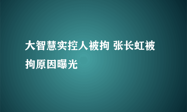 大智慧实控人被拘 张长虹被拘原因曝光