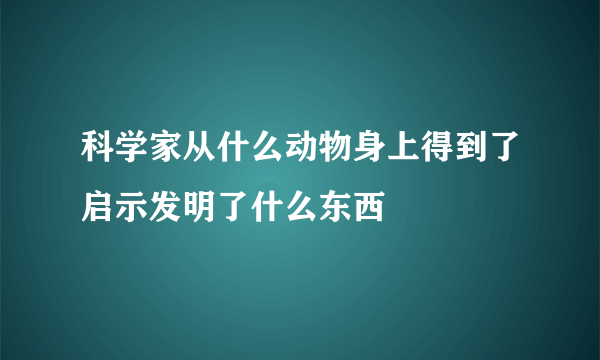 科学家从什么动物身上得到了启示发明了什么东西