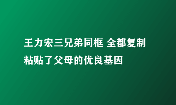 王力宏三兄弟同框 全都复制粘贴了父母的优良基因