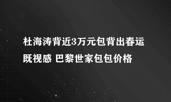 杜海涛背近3万元包背出春运既视感 巴黎世家包包价格