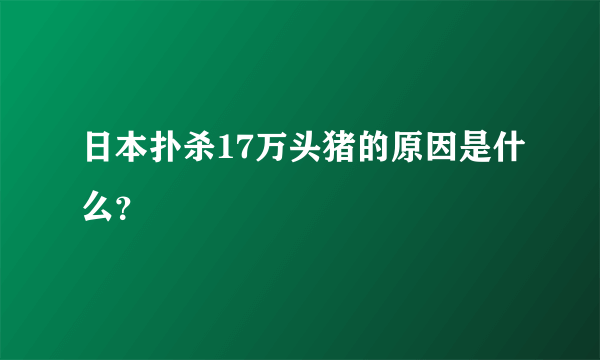 日本扑杀17万头猪的原因是什么？