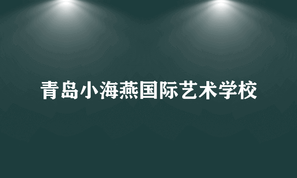 青岛小海燕国际艺术学校