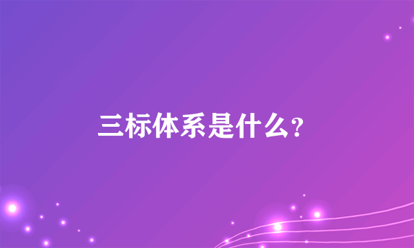 三标体系是什么？