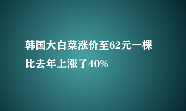 韩国大白菜涨价至62元一棵 比去年上涨了40%