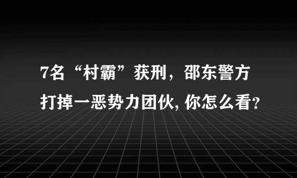 7名“村霸”获刑，邵东警方打掉一恶势力团伙, 你怎么看？