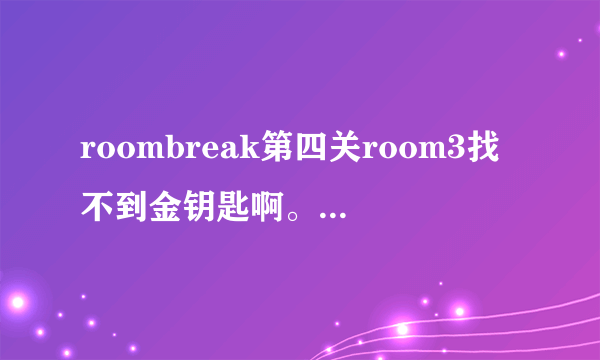 roombreak第四关room3找不到金钥匙啊。。求助！！！