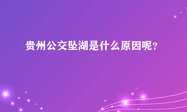 贵州公交坠湖是什么原因呢？