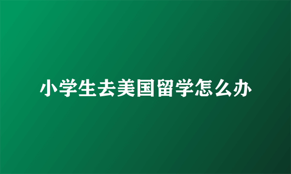 小学生去美国留学怎么办