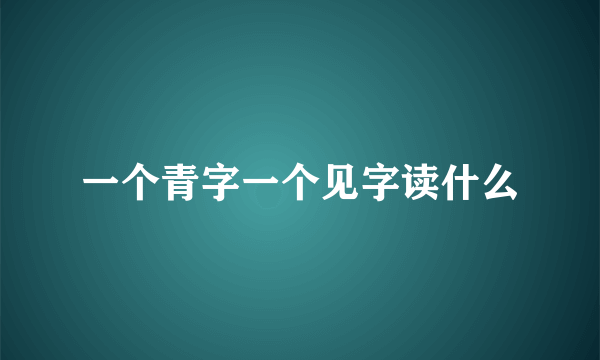 一个青字一个见字读什么