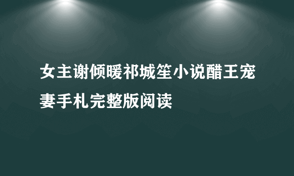 女主谢倾暖祁城笙小说醋王宠妻手札完整版阅读