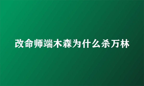 改命师端木森为什么杀万林