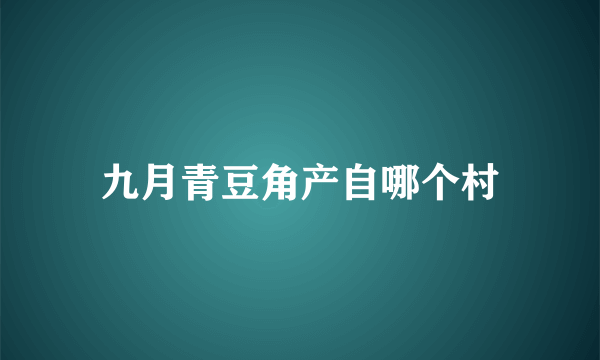 九月青豆角产自哪个村