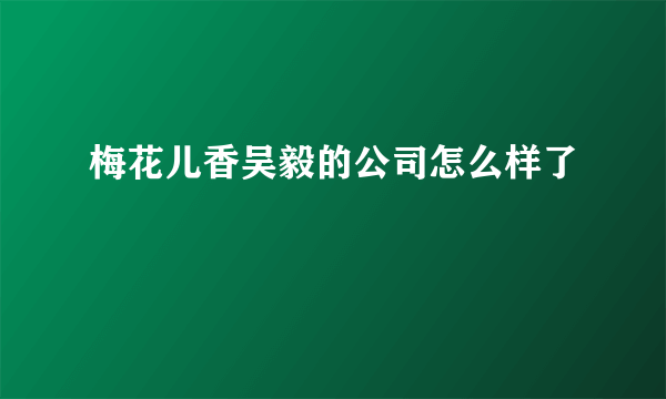 梅花儿香吴毅的公司怎么样了