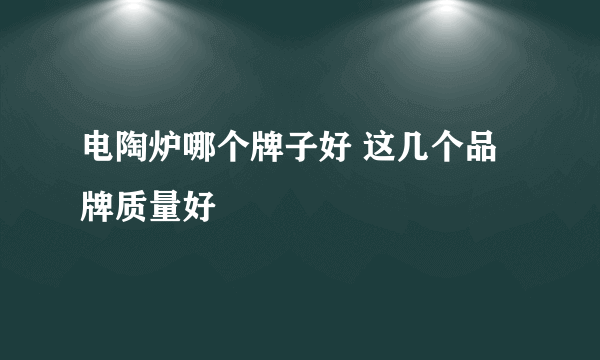 电陶炉哪个牌子好 这几个品牌质量好