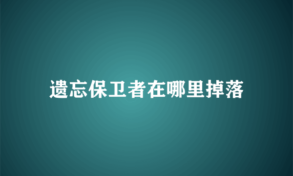 遗忘保卫者在哪里掉落