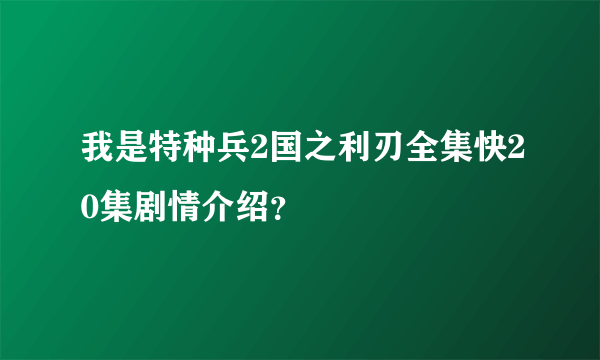 我是特种兵2国之利刃全集快20集剧情介绍？