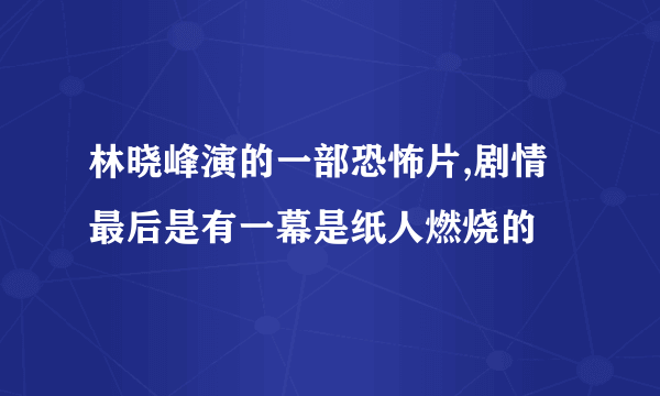 林晓峰演的一部恐怖片,剧情最后是有一幕是纸人燃烧的