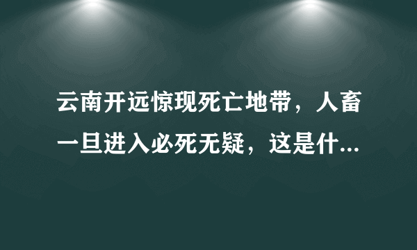 云南开远惊现死亡地带，人畜一旦进入必死无疑，这是什么情况？