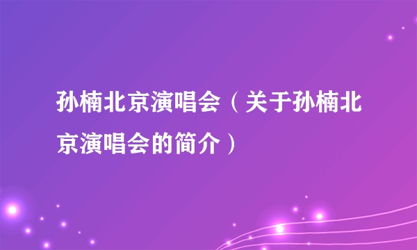 孙楠北京演唱会（关于孙楠北京演唱会的简介）