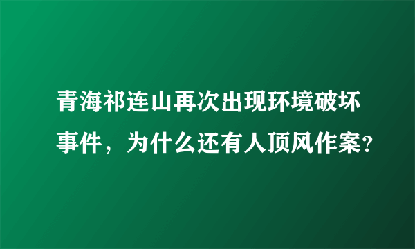 青海祁连山再次出现环境破坏事件，为什么还有人顶风作案？