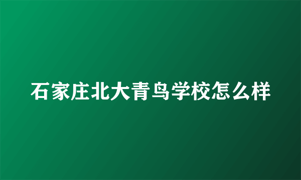 石家庄北大青鸟学校怎么样