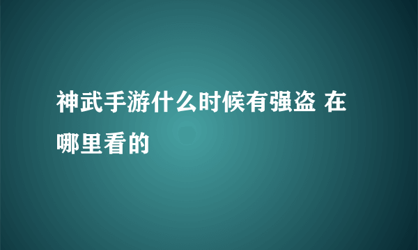 神武手游什么时候有强盗 在哪里看的