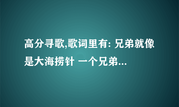 高分寻歌,歌词里有: 兄弟就像是大海捞针 一个兄弟一根针 针与针 不可分 没有纷争