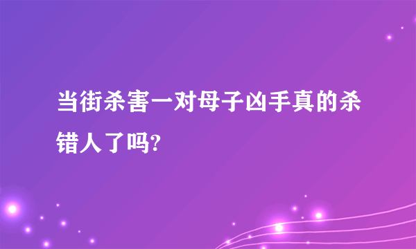 当街杀害一对母子凶手真的杀错人了吗?