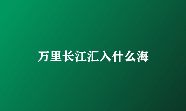 万里长江汇入什么海