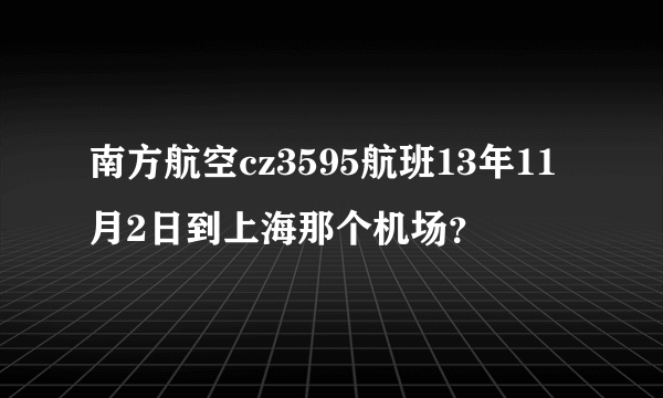 南方航空cz3595航班13年11月2日到上海那个机场？