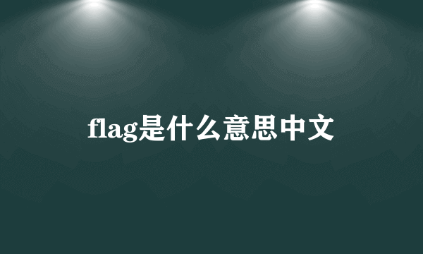 flag是什么意思中文