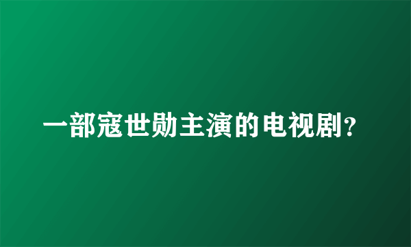 一部寇世勋主演的电视剧？