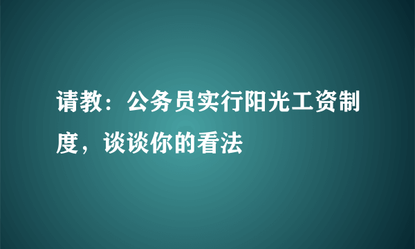 请教：公务员实行阳光工资制度，谈谈你的看法