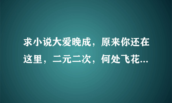 求小说大爱晚成，原来你还在这里，二元二次，何处飞花TXT 全文 谢谢！