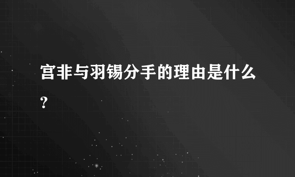 宫非与羽锡分手的理由是什么？