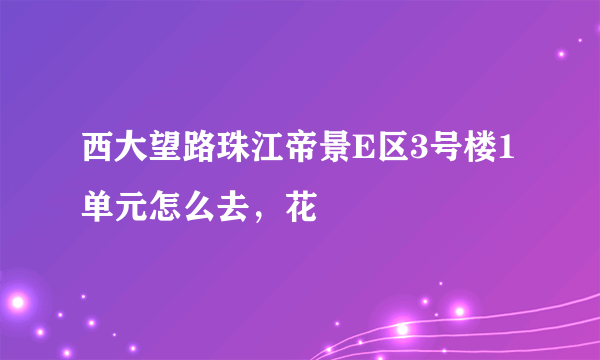 西大望路珠江帝景E区3号楼1单元怎么去，花