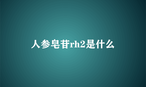 人参皂苷rh2是什么