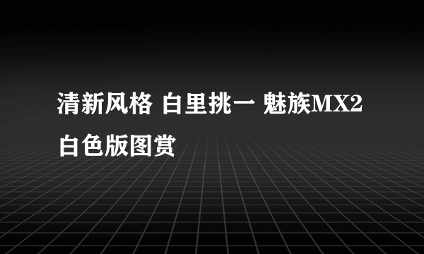 清新风格 白里挑一 魅族MX2白色版图赏