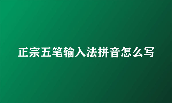 正宗五笔输入法拼音怎么写