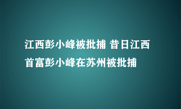 江西彭小峰被批捕 昔日江西首富彭小峰在苏州被批捕