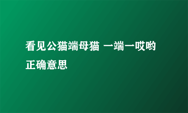 看见公猫端母猫 一端一哎哟 正确意思