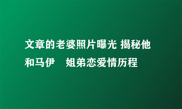 文章的老婆照片曝光 揭秘他和马伊琍姐弟恋爱情历程