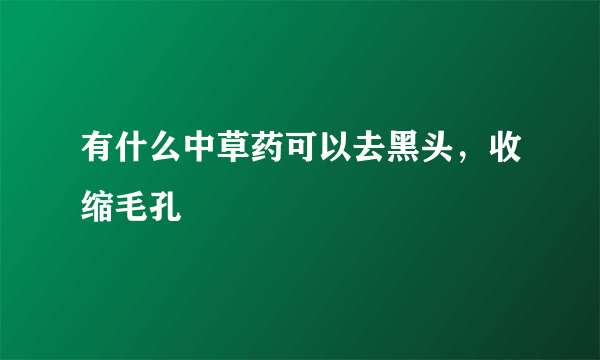 有什么中草药可以去黑头，收缩毛孔