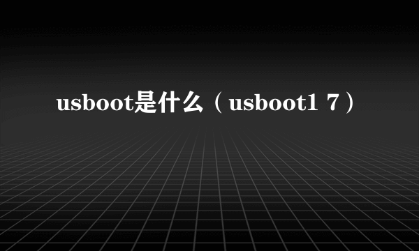 usboot是什么（usboot1 7）