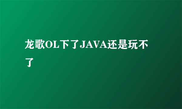 龙歌OL下了JAVA还是玩不了