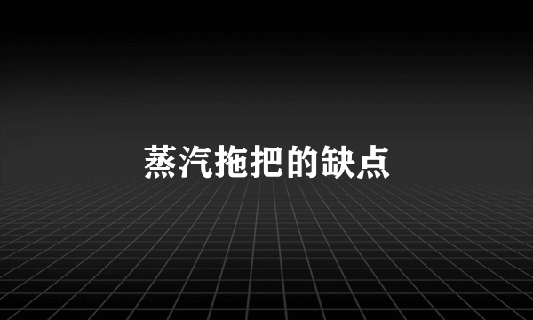 蒸汽拖把的缺点