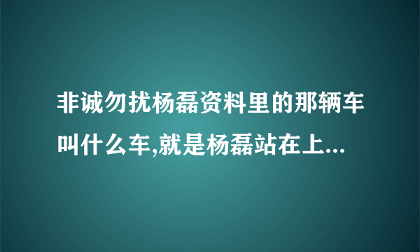 非诚勿扰杨磊资料里的那辆车叫什么车,就是杨磊站在上面开的那辆