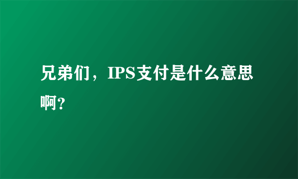 兄弟们，IPS支付是什么意思啊？