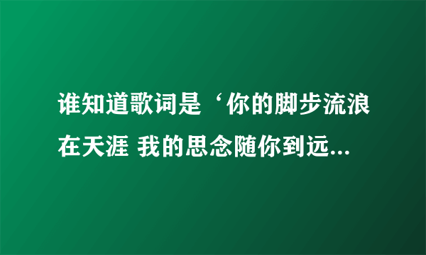 谁知道歌词是‘你的脚步流浪在天涯 我的思念随你到远方’是什么哥