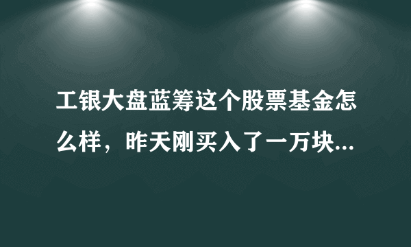 工银大盘蓝筹这个股票基金怎么样，昨天刚买入了一万块，求大师分析行情